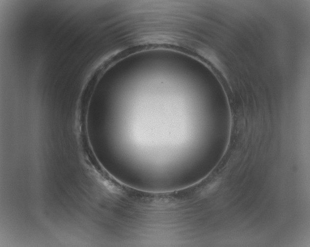 X0000071340979200606231134