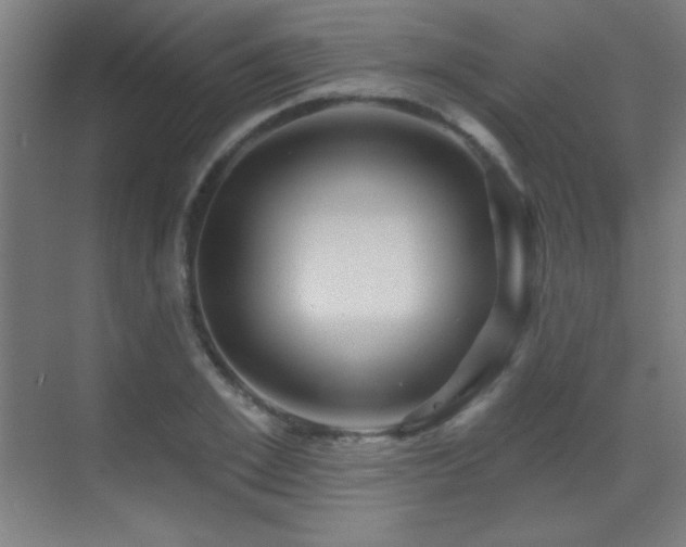 X0000071340981200606231134