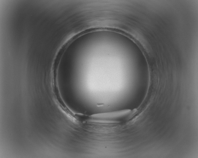 X0000071340982200606231134