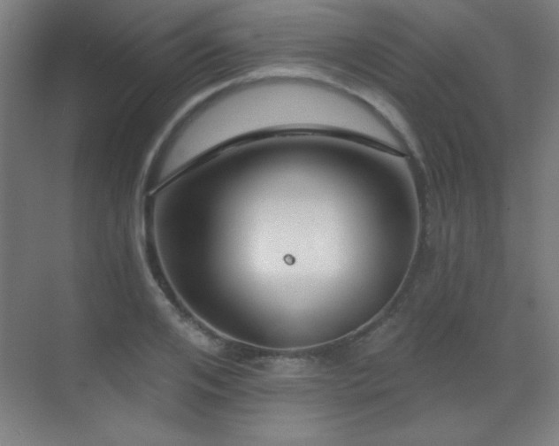 X0000071340984200606231134