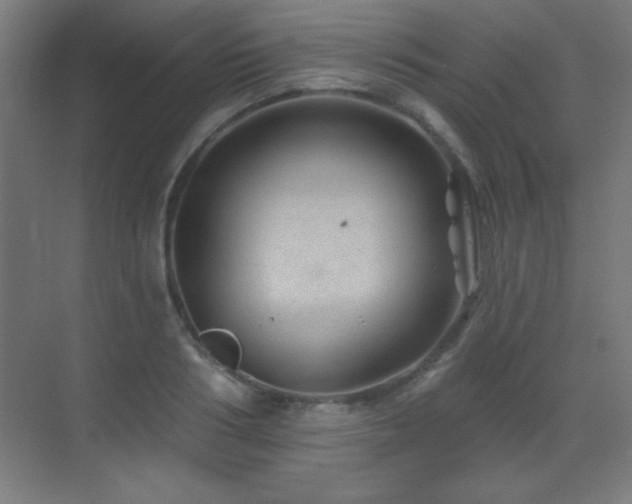 X0000071340986200606231133