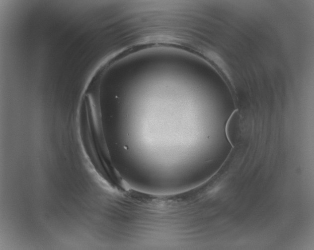 X0000071340987200606231133