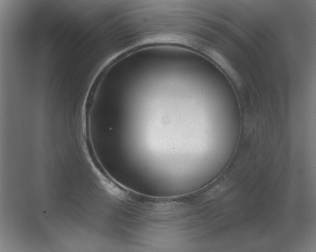 X0000071340988200606231133