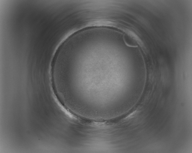 X0000071340990200606231133