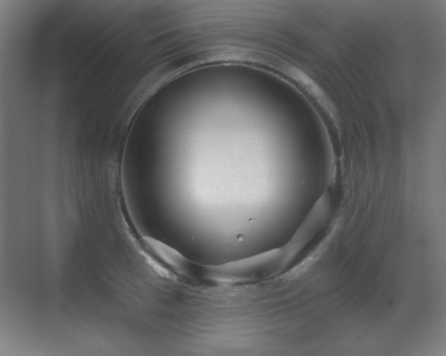 X0000071340993200606231133