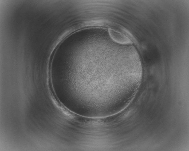 X0000071340994200606231133