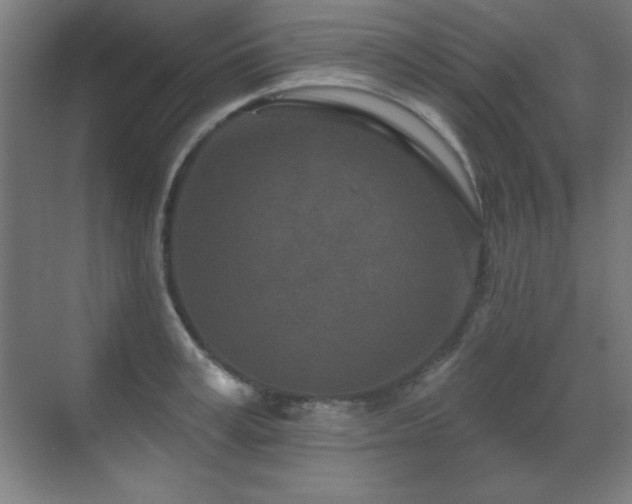 X0000071340995200606231133