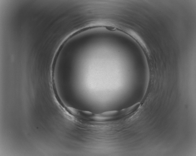 X0000071340996200606231133