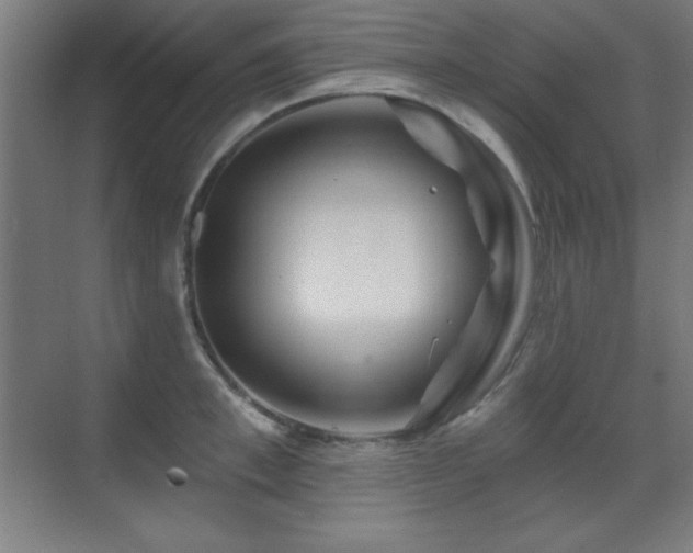 X0000071340997200606231133