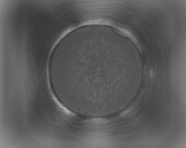 X0000071340998200606231133