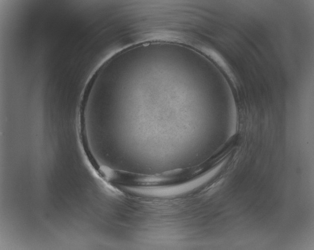 X0000071340999200606231133