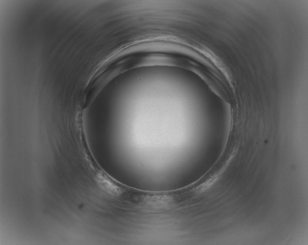 X0000071341001200606231133