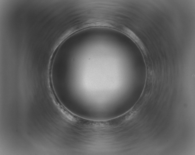 X0000071341002200606231133