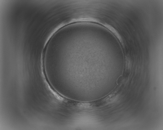 X0000071341006200606231133