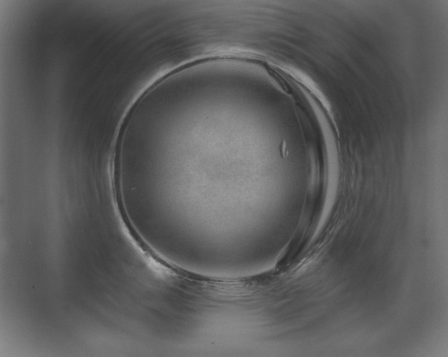 X0000071341007200606231133