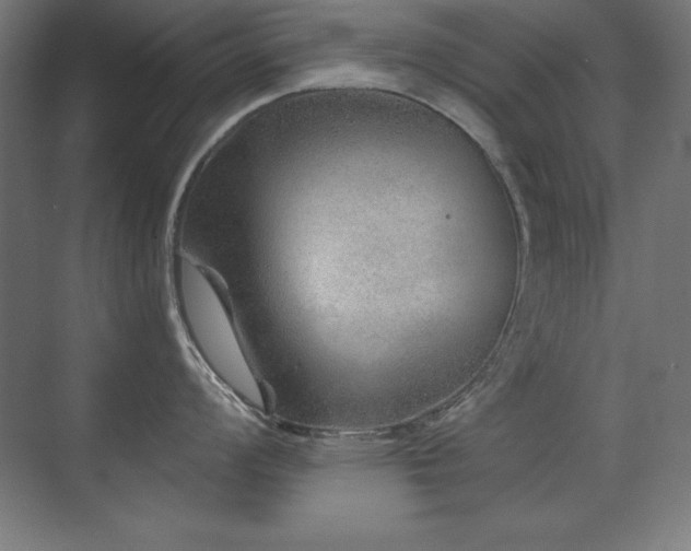 X0000071341008200606231133