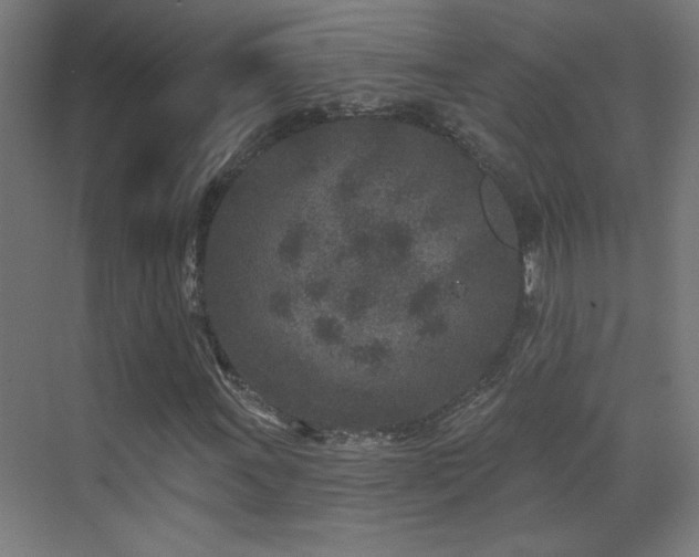 X0000071341011200606231132