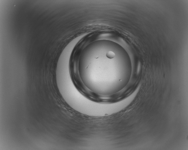 X0000071341014200606231132