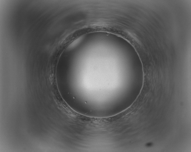 X0000071341015200606231132