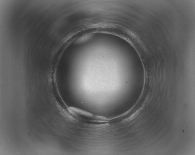 X0000071341017200606231132