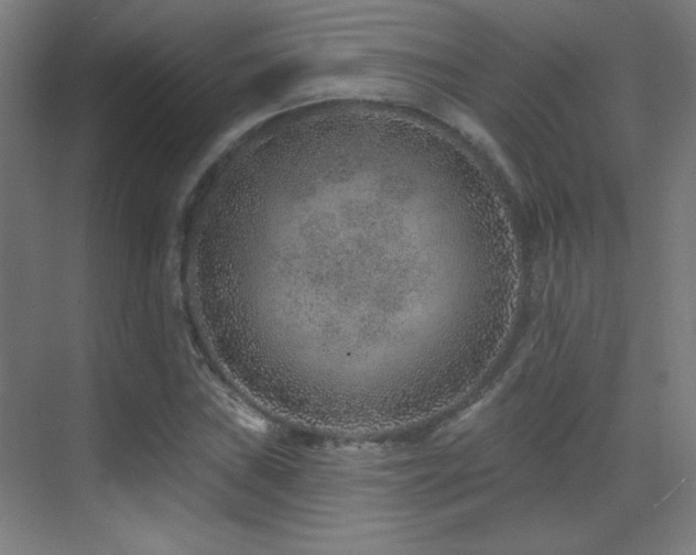 X0000071341019200606231132