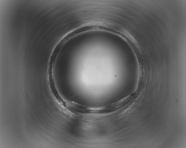 X0000071341020200606231132