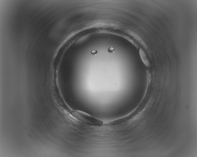 X0000071341021200606231132