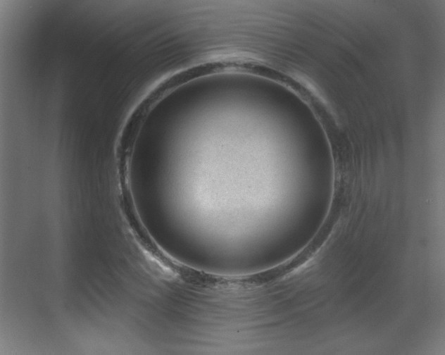 X0000071341022200606231133