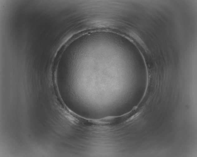 X0000071341023200606231133