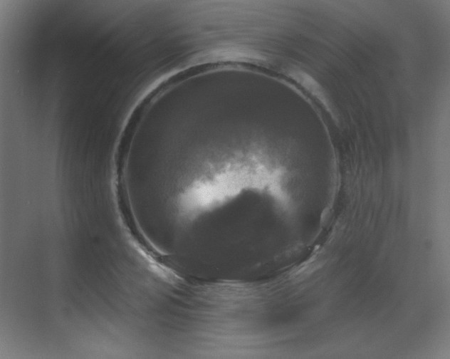 X0000071341024200606231133