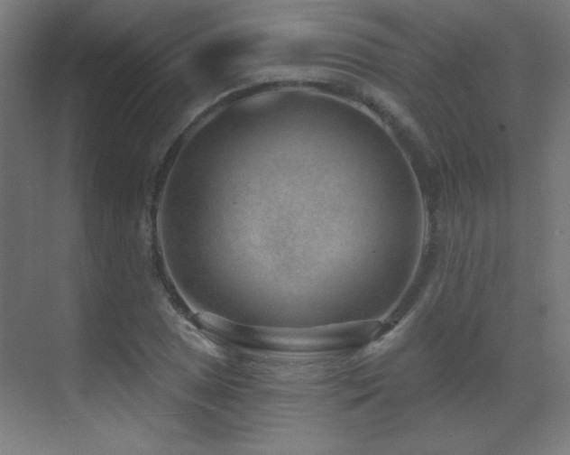 X0000071341025200606231133