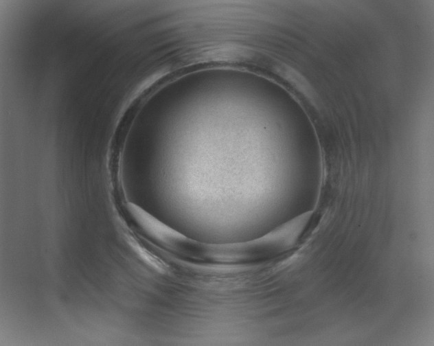 X0000071341026200606231133