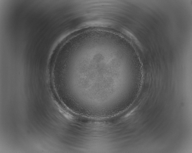 X0000071341027200606231133