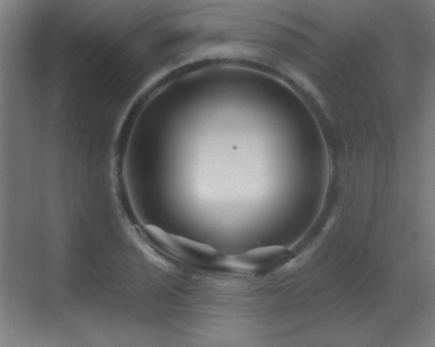 X0000071341029200606231133