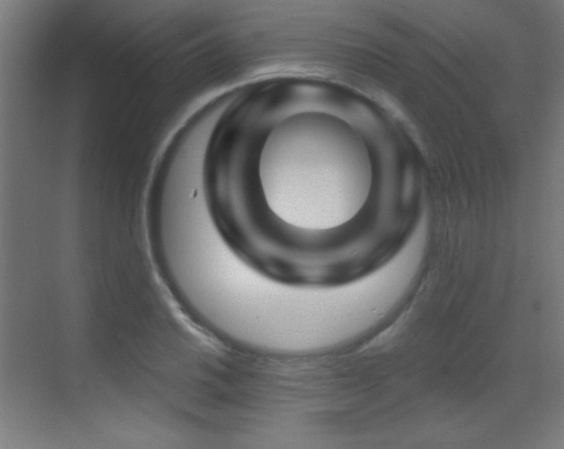 X0000071341030200606231133