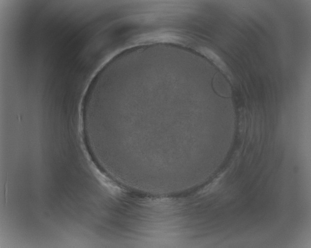 X0000071341031200606231133