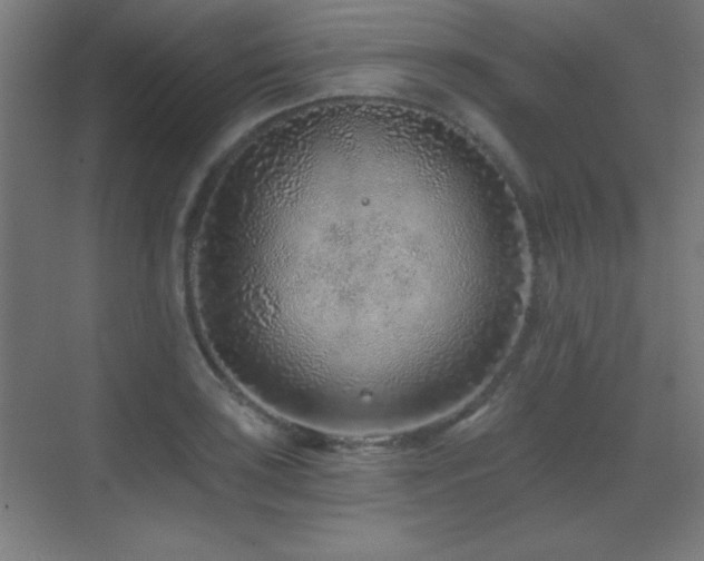 X0000071341035200606231133