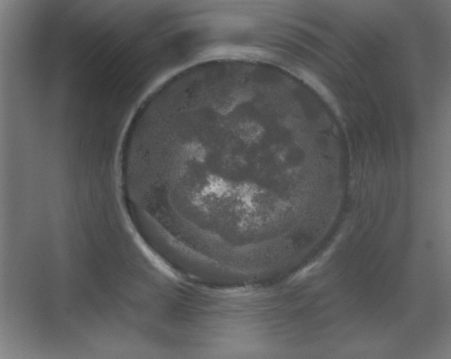 X0000071341037200606231133