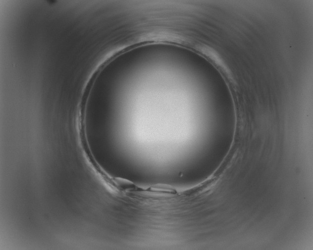 X0000071341040200606231133