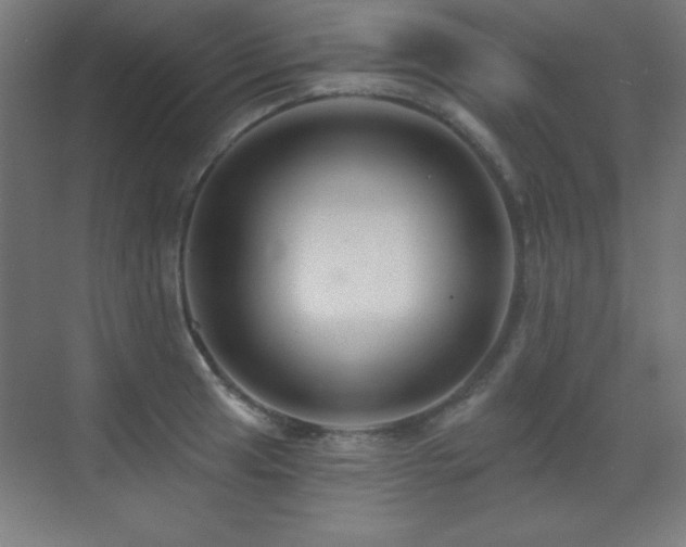 X0000071341041200606231133