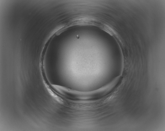 X0000071341042200606231133