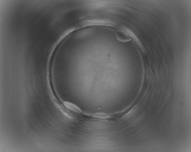 X0000071341043200606231133