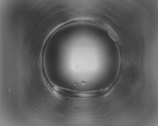 X0000071341044200606231133