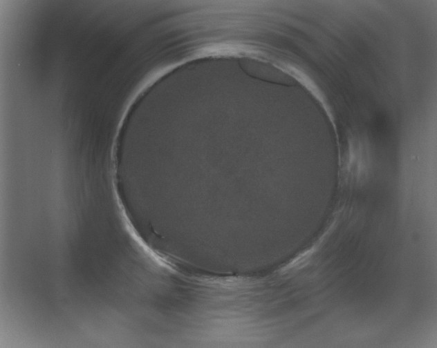 X0000071341045200606231133