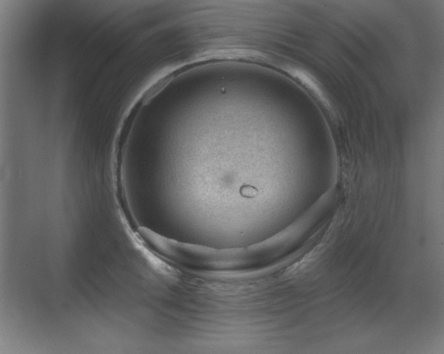 X0000071341046200606231133