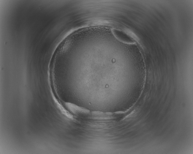 X0000071341047200606231133