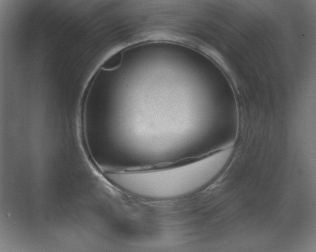 X0000071341048200606231133