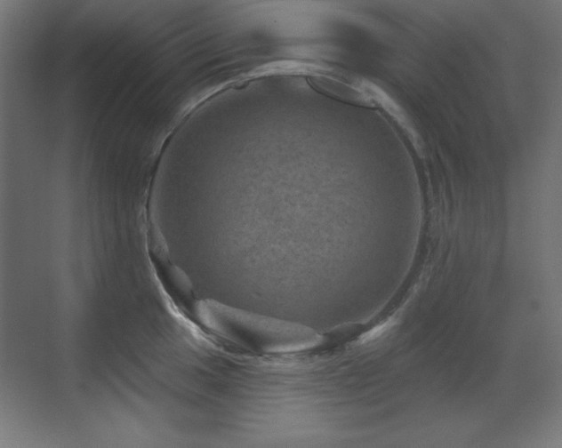 X0000071341049200606231133