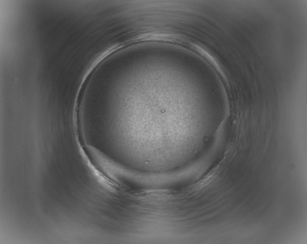 X0000071341050200606231133