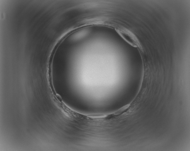 X0000071341051200606231133